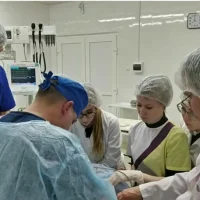 Ветеринарный центр МКНЦ УлГАУ им.П.А. Столыпина Фото 2 на проекте Ulyanovsk.vetspravka.ru Ветеринарный центр МКНЦ УлГАУ им.П.А. Столыпина Фото 2 на проекте Ulyanovsk.vetspravka.ru