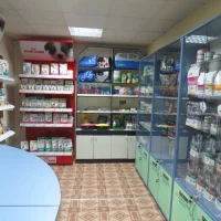 Ветеринарная клиника 9 жизней Фото 2 на проекте Ulyanovsk.vetspravka.ru Ветеринарная клиника 9 жизней Фото 2 на проекте Ulyanovsk.vetspravka.ru