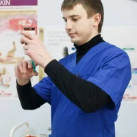 Ветеринарная клиника 9 жизней Фото 2 на проекте Ulyanovsk.vetspravka.ru Ветеринарная клиника 9 жизней Фото 2 на проекте Ulyanovsk.vetspravka.ru