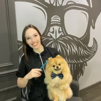 Груминг-салон Barberdog Фото 2 на проекте Ulyanovsk.vetspravka.ru Груминг-салон Barberdog Фото 2 на проекте Ulyanovsk.vetspravka.ru